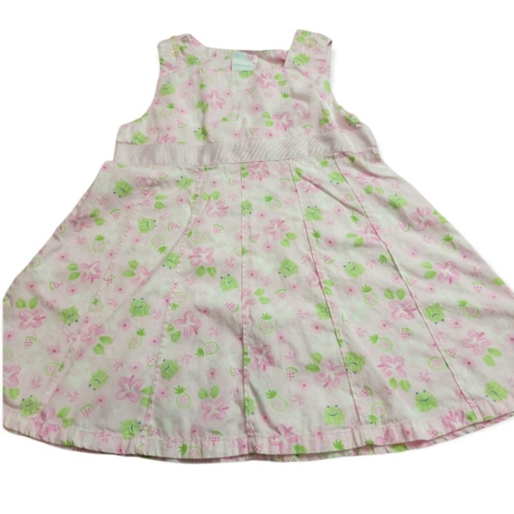 Chelsea's Corner frog dress 24mo